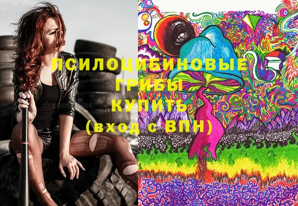 МДМА Каменка