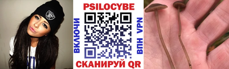 Галлюциногенные грибы GOLDEN TEACHER Череповец