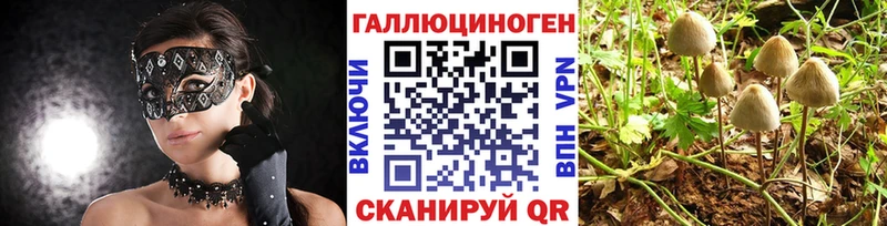 Псилоцибиновые грибы прущие грибы  где можно купить   Череповец 